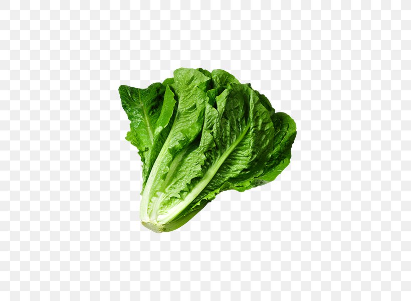 Caesar Salad Lettuce Sandwich Wrap Clip Art, PNG, 600x600px, Caesar Salad, Broccoli, Butterhead Lettuce, Cabbage, Celtuce Download Free