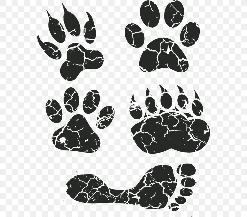 Dog Paw Footprint Animal Track Clip Art, PNG, 575x720px, Dog, Animal, Animal Track, Black, Black And White Download Free