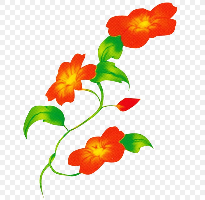 Floral Design Flower Clip Art, PNG, 700x800px, Floral Design, Artwork, Artworks, Cut Flowers, Flora Download Free