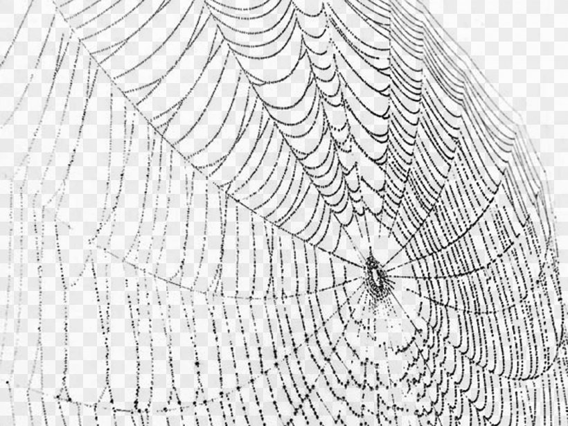 Spider Web Spider Silk Clip Art, PNG, 1100x825px, Spider, Area, Black And White, Cartoon, Drawing Download Free