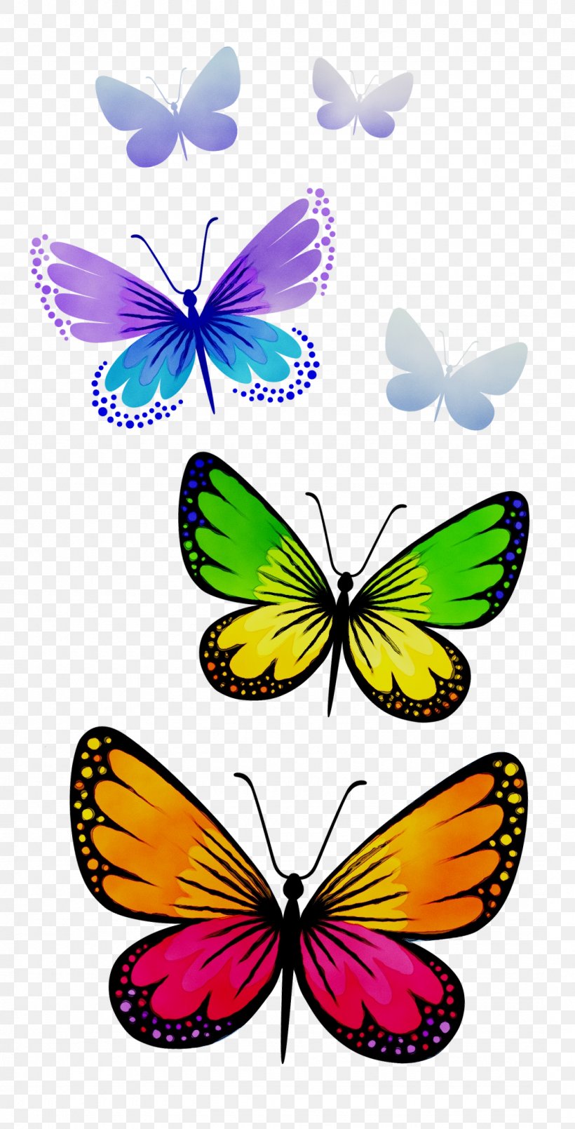 Clip Art Vector Graphics Desktop Wallpaper Free Content, PNG, 1075x2110px, Glasswing Butterfly, Arthropod, Brushfooted Butterfly, Butterflies, Butterfly Download Free