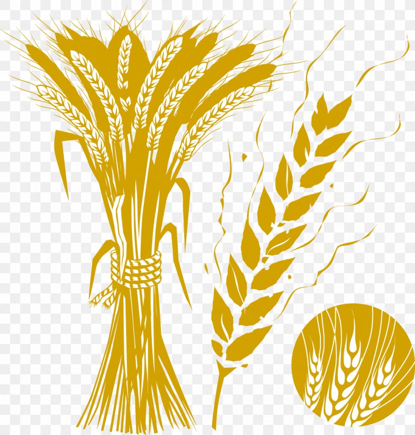 Decorative Brown Wheat Wheat, PNG, 1086x1140px, Wheat, Cereal, Commodity, Crop, Drawing Download Free