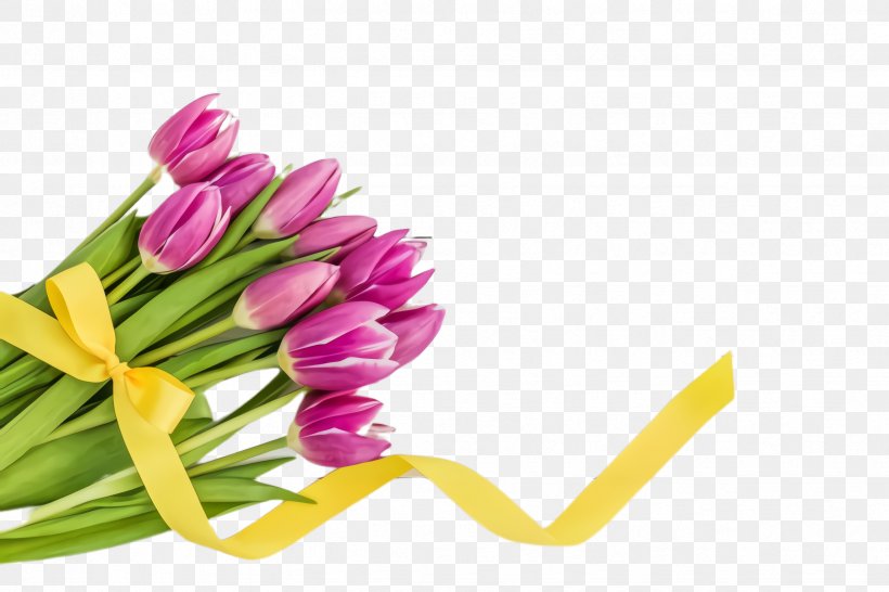 Flower Plant Yellow Cut Flowers Purple, PNG, 2448x1632px, Flower, Bouquet, Cut Flowers, Flowering Plant, Lily Family Download Free