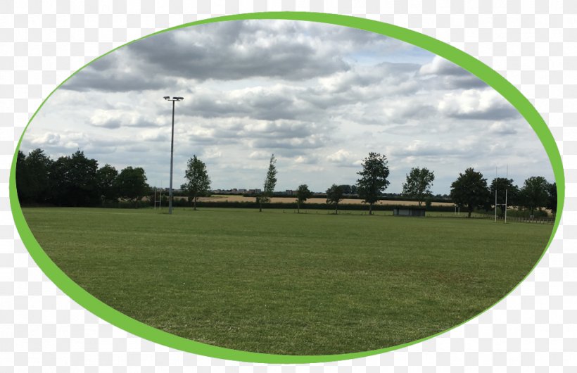 Lawn Pasture Sports Venue Energy, PNG, 992x642px, Lawn, Area, Energy, Farm, Field Download Free