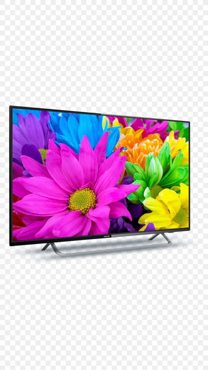 LED-backlit LCD High-definition Television 1080p Smart TV, PNG, 1080x1920px, 4k Resolution, 43 Inches, Ledbacklit Lcd, Chrysanths, Cut Flowers Download Free