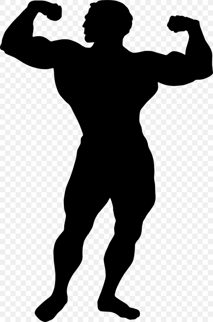Muscle Arm Clip Art, PNG, 846x1280px, Muscle, Arm, Black And White, Bodybuilding, Cartoon Download Free