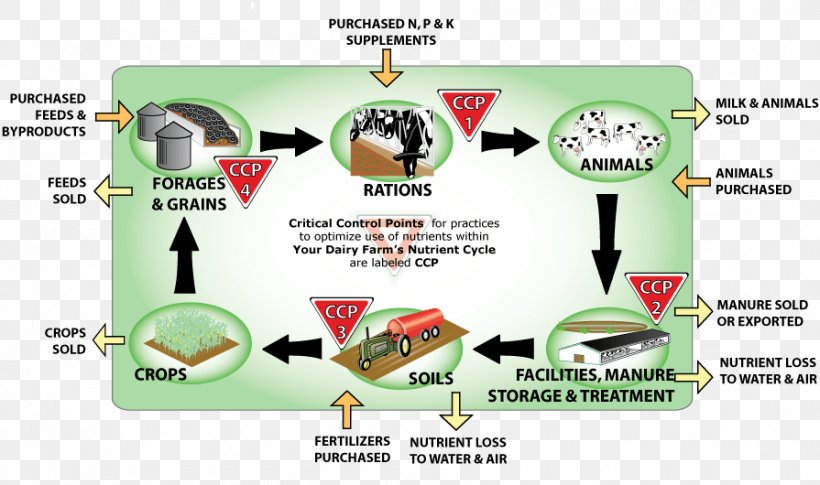 Nutrient Cycle Farm Agriculture Phosphorus Cycle, PNG, 895x530px, Nutrient, Agriculture, Brand, Compost, Decomposer Download Free