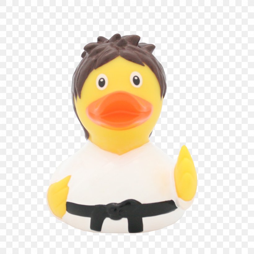 Rubber Duck Toy Martial Arts Sport, PNG, 1670x1670px, Duck, Amazonetta, Beak, Bestprice, Bird Download Free