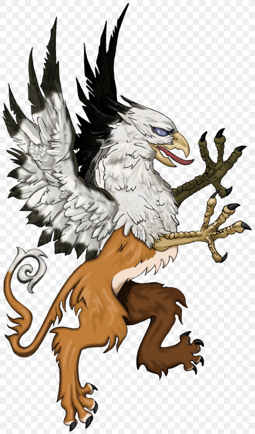 Bald Eagle Beak Cartoon, PNG, 900x1534px, Bald Eagle, Art, Beak, Bird, Bird Of Prey Download Free