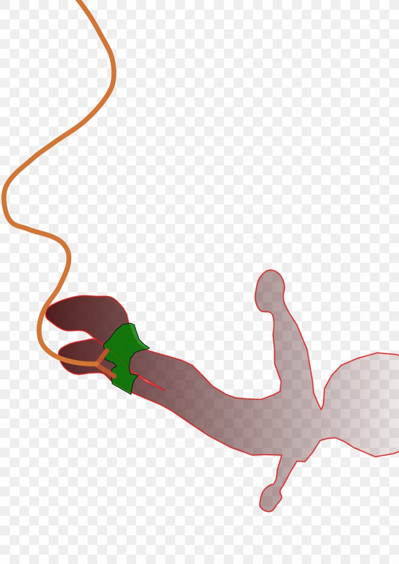 Bungee Jumping Bungee Cords Clip Art, PNG, 1697x2400px, Bungee Jumping, Animation, Arm, Avatar, Bungee Cords Download Free