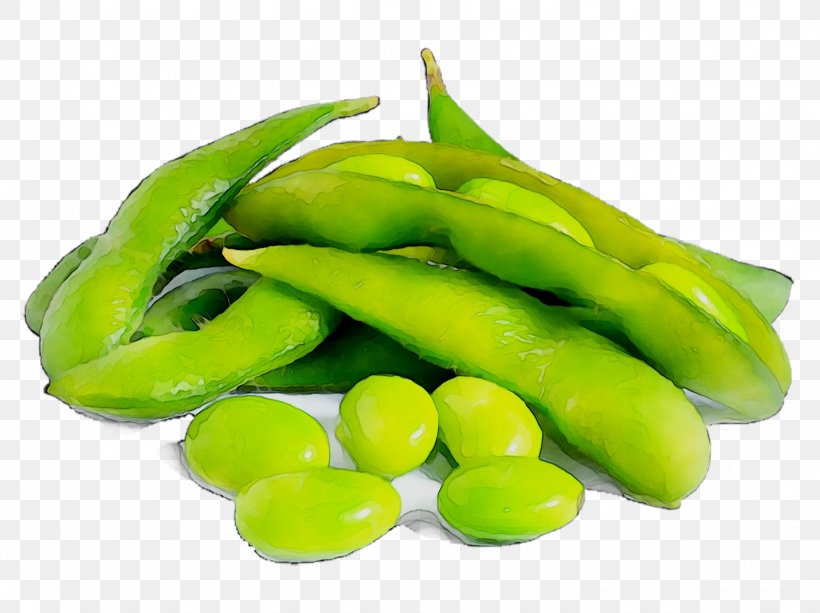 Edamame Japanese Cuisine Sushi Soy Milk Vegetarian Cuisine, PNG, 1431x1071px, Edamame, Bean, Broad Bean, Cuisine, Eating Download Free