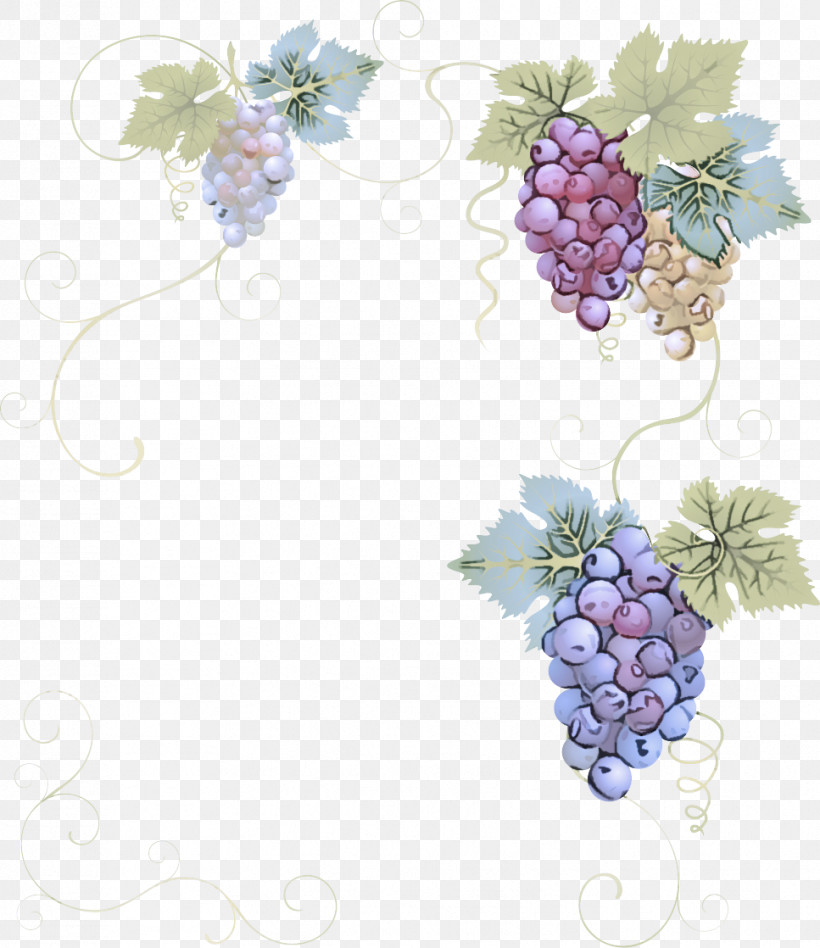 Lavender, PNG, 967x1118px, Grape, Biology, Childrens Film, Family, Fruit Download Free