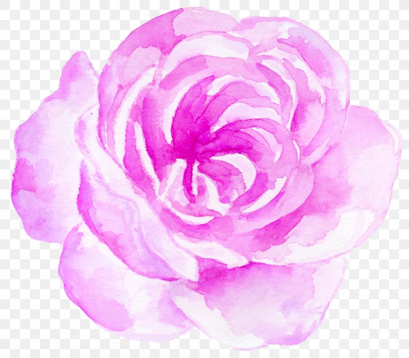 Watercolor Painting Clip Art, PNG, 1000x876px, Watercolor Painting, Camellia, Computer Software, Cut Flowers, Flower Download Free