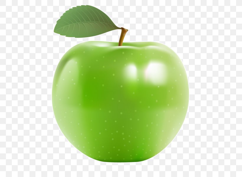 Apple Tree Drawing, PNG, 600x600px, Apple, Accessory Fruit, Drawing, Food, Fruit Download Free