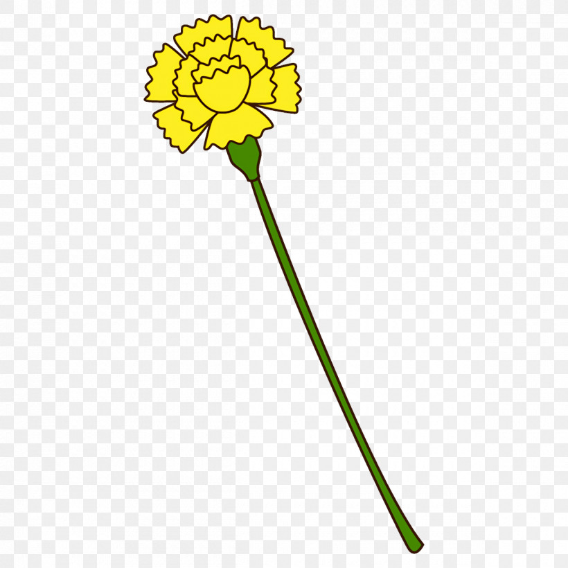 Carnation Flower, PNG, 1200x1200px, Carnation, Dandelion, Flower, Plant, Plant Stem Download Free