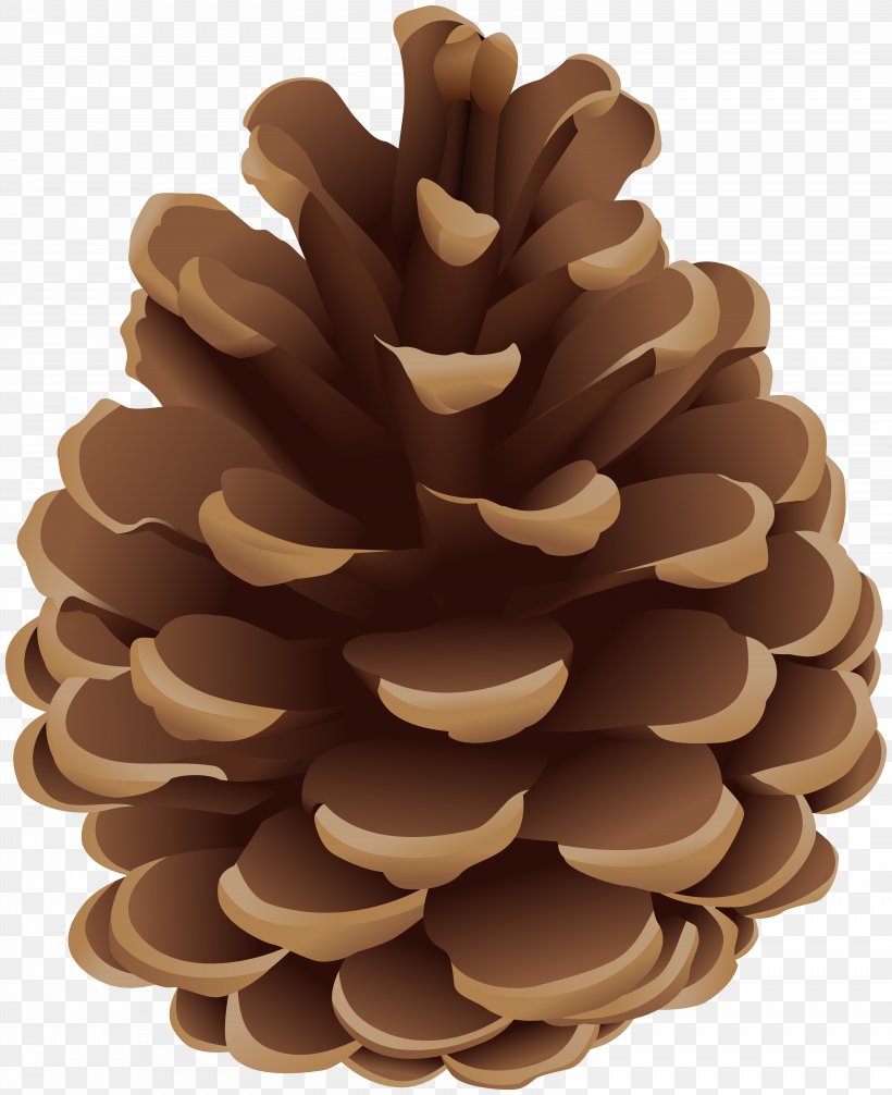 Clip Art Conifer Cone Illustration Vector Graphics, PNG, 6519x8000px, Conifer Cone, Brown, Brown Pine, Cone, Conifer Download Free