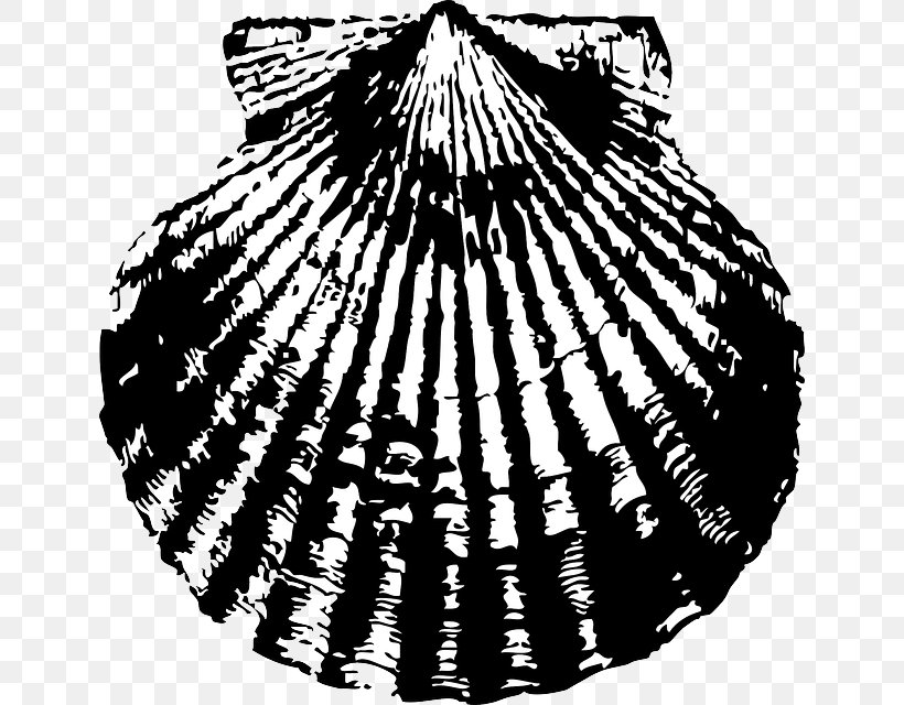Seashell Pectinidae Clip Art, PNG, 640x640px, Seashell, Art, Bivalvia, Black And White, Cdr Download Free