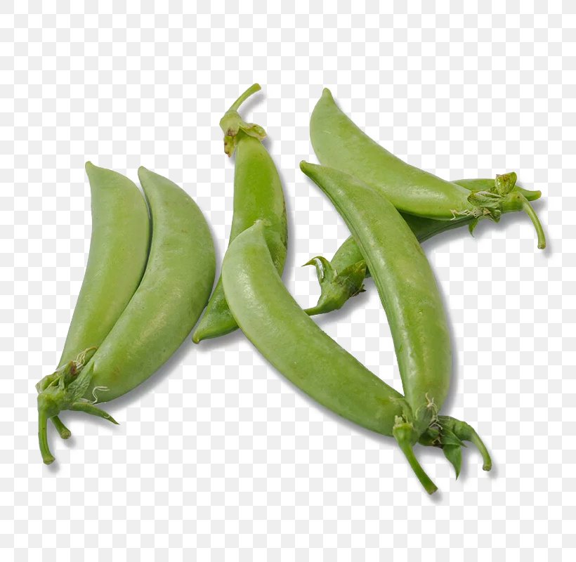 Yardlong Bean Snap Pea Vegetable Common Bean, PNG, 800x800px, Yardlong Bean, Bean, Commodity, Common Bean, Cowpea Download Free