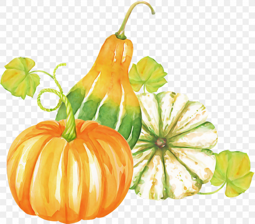 Pumpkin, PNG, 2218x1949px, Pumpkin, Calabash, Calabaza, Cucurbita, Flower Download Free