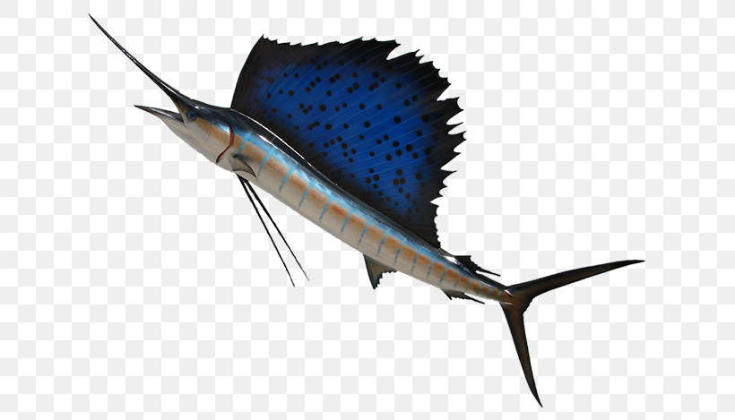Swordfish Sailfish Atlantic Blue Marlin Marlin Fish, PNG, 650x469px, Swordfish, Atlantic Blue Marlin, Bonyfish, Fish, Marlin Download Free