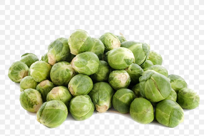 Brussels Sprout Cabbage Romanesco Broccoli Vegetable Chou, PNG, 849x566px, Brussels Sprout, Brassica Oleracea, Cabbage, Cabbages, Chou Download Free