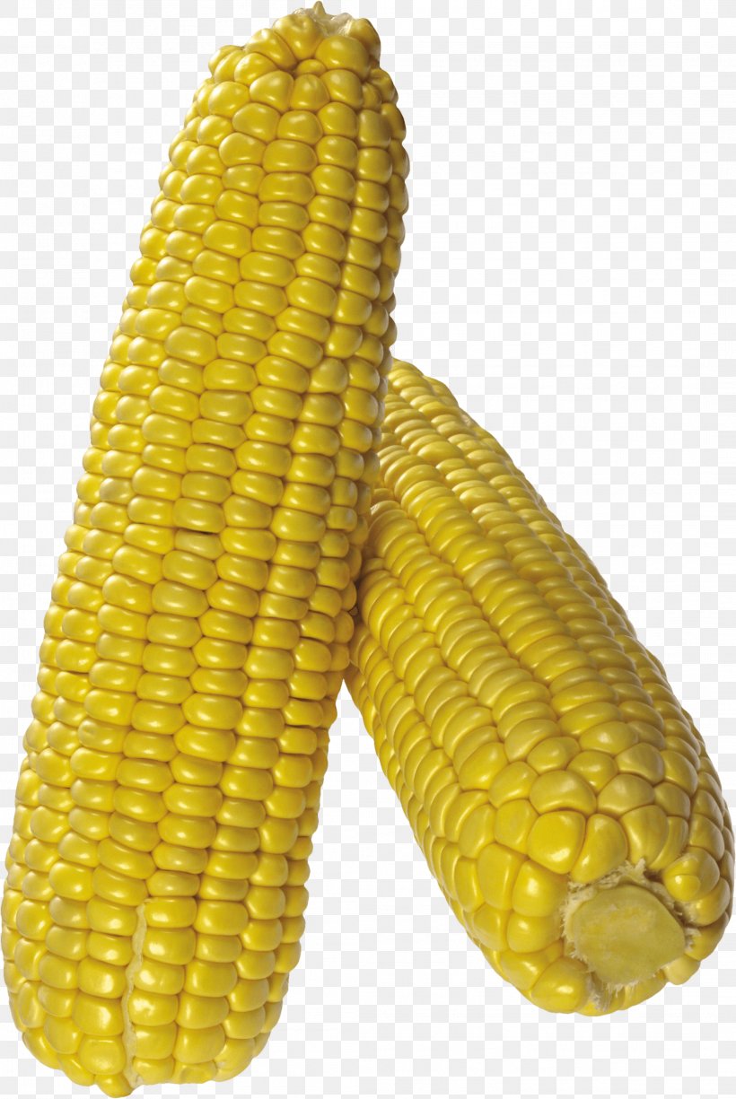 Corn On The Cob Maize Sweet Corn, PNG, 2113x3159px, Corn On The Cob, Cereal, Clipping Path, Commodity, Corn Kernel Download Free