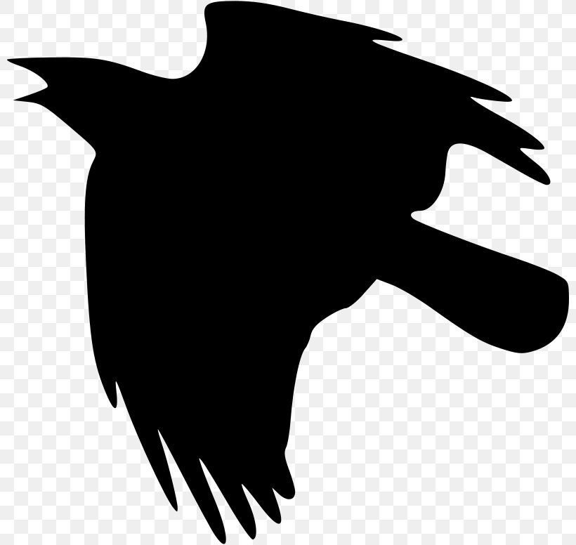Crow Clip Art, PNG, 800x776px, Crow, Art, Beak, Bird, Black Download Free