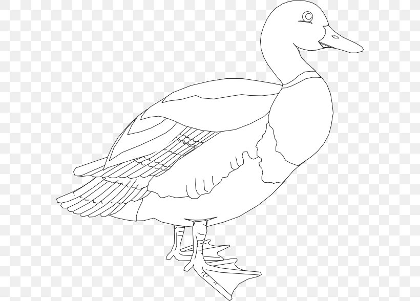 Duck Goose American Pekin Mallard Clip Art, PNG, 600x588px, Duck, American Black Duck, American Pekin, Animal, Artwork Download Free