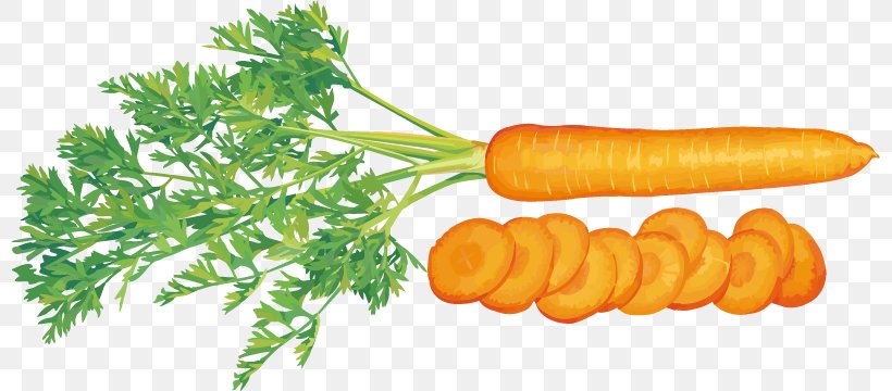 Juice Vegetable Carrot Tomato, PNG, 799x360px, Juice, Cabbage, Carrot, Daikon, Diet Food Download Free