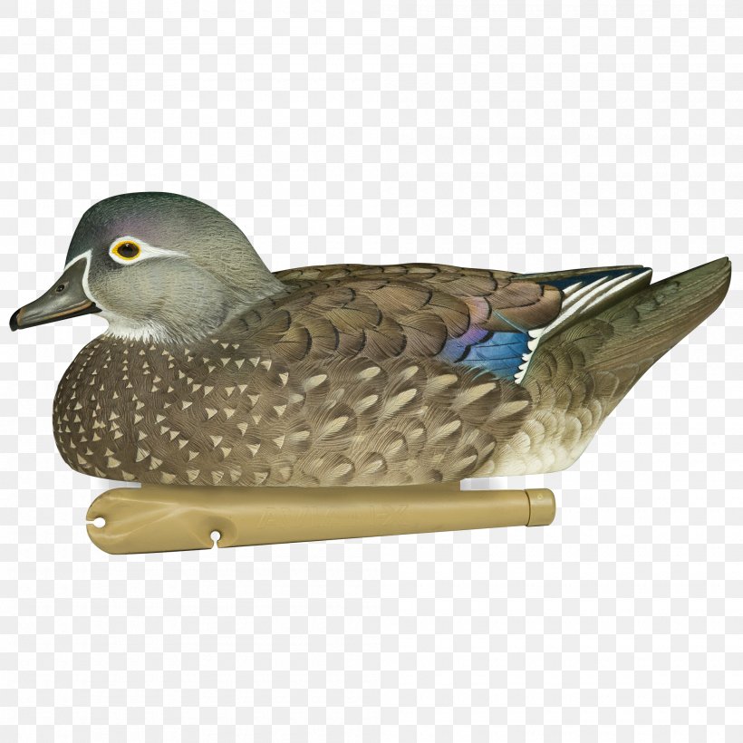 Mallard Duck Decoy Goose, PNG, 2000x2000px, Mallard, American Black Duck, Anseriformes, Beak, Bird Download Free
