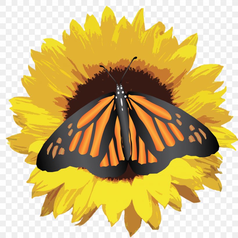 Clip Art Image Sunflower Desktop Wallpaper, PNG, 2936x2936px, Sunflower, Arthropod, Brush Footed Butterfly, Butterfly, Daisy Family Download Free