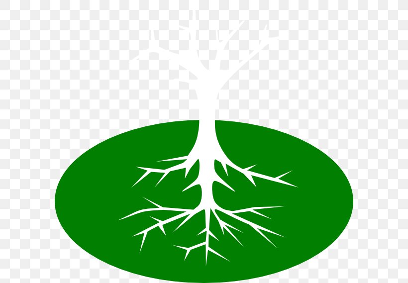 Root Tree Clip Art, PNG, 600x569px, Root, Branch, Document, Drawing, Fibrous Root System Download Free