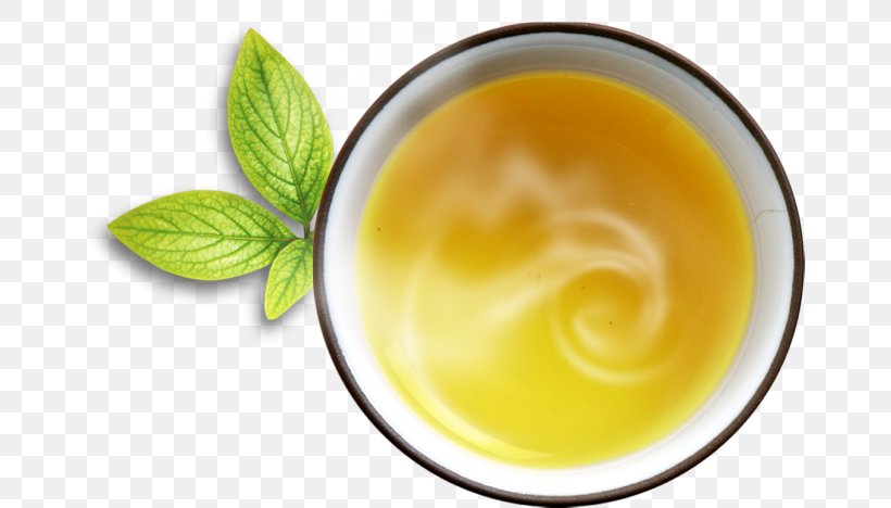 Tea Download Mint Clip Art, PNG, 663x468px, Tea, Chawan, Copyright, Cup, Dish Download Free