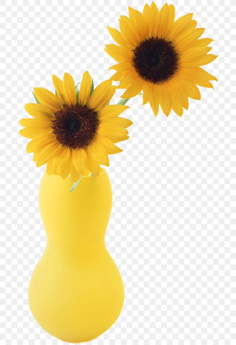 Two Cut Sunflowers Sunflower Student Movement Vase Common Sunflower, PNG, 696x1200px, Two Cut Sunflowers, Blue, Color, Common Sunflower, Cut Flowers Download Free