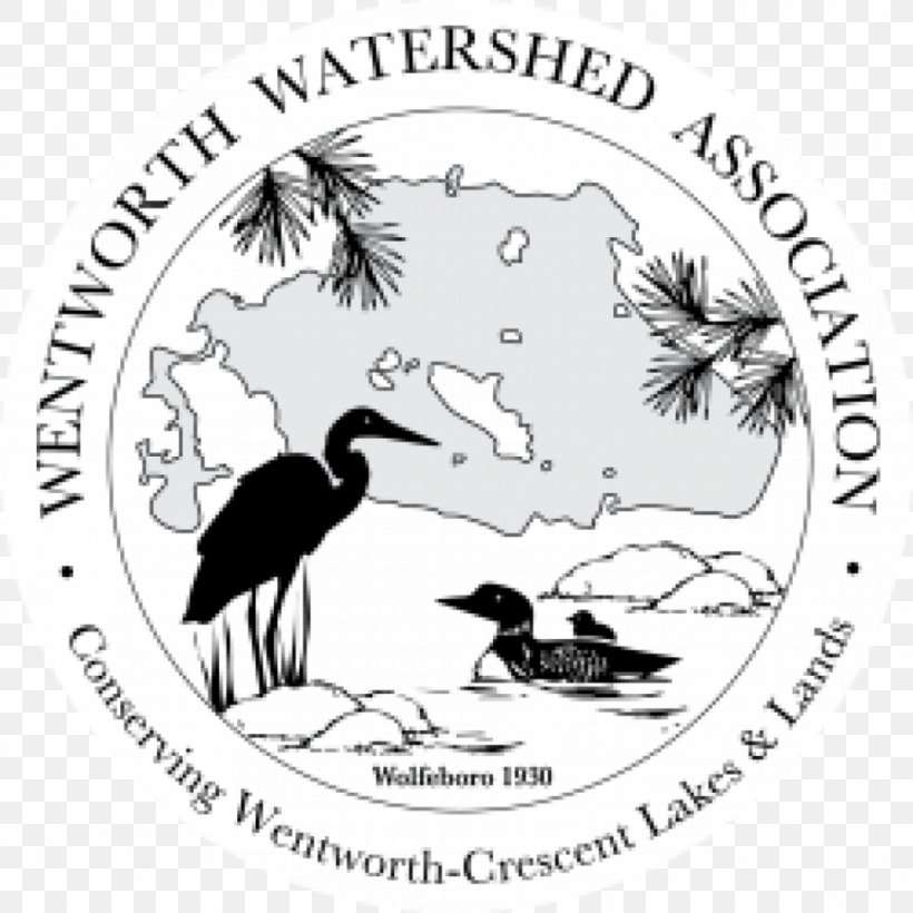 Wolfeboro Wentworth Beak England WASR, PNG, 1024x1024px, Wolfeboro, Art, Beak, Bird, Black And White Download Free