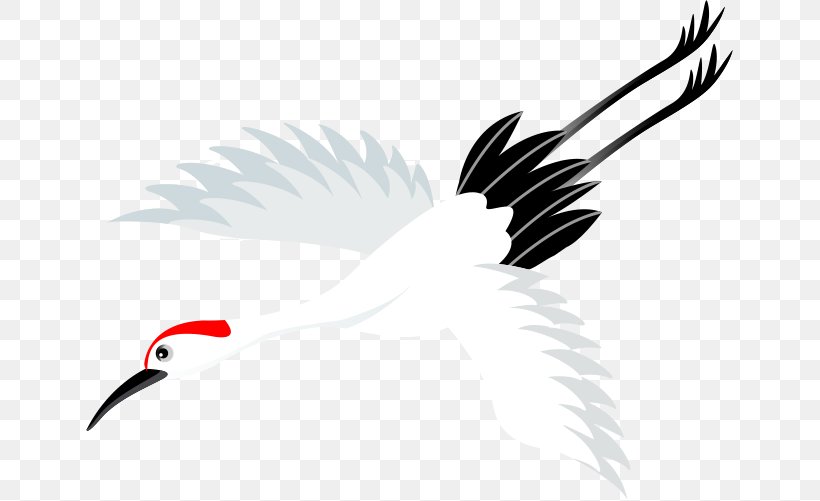Crane Clip Art, PNG, 647x501px, Crane, Beak, Bird, Bird Of Prey, Cartoon Download Free