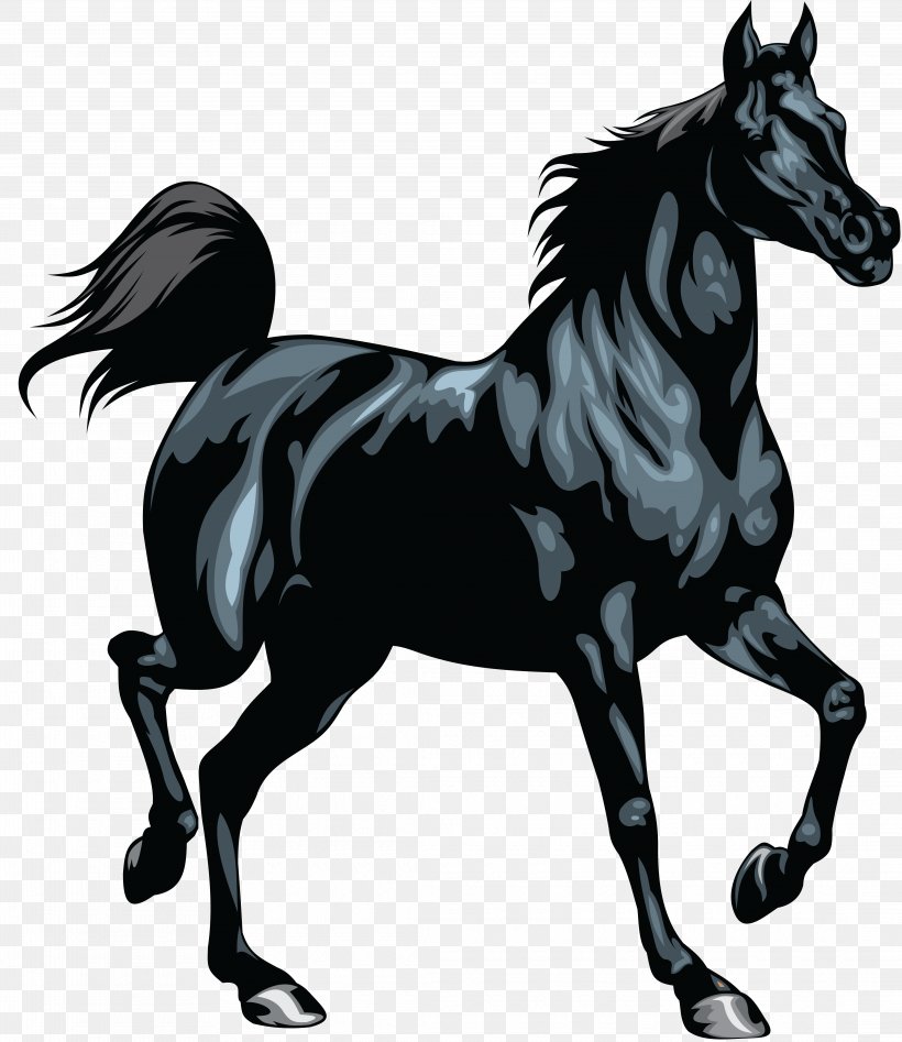 Mustang Equestrian Clip Art, PNG, 4355x5034px, Mustang, Black, Black And White, Bridle, Collection Download Free