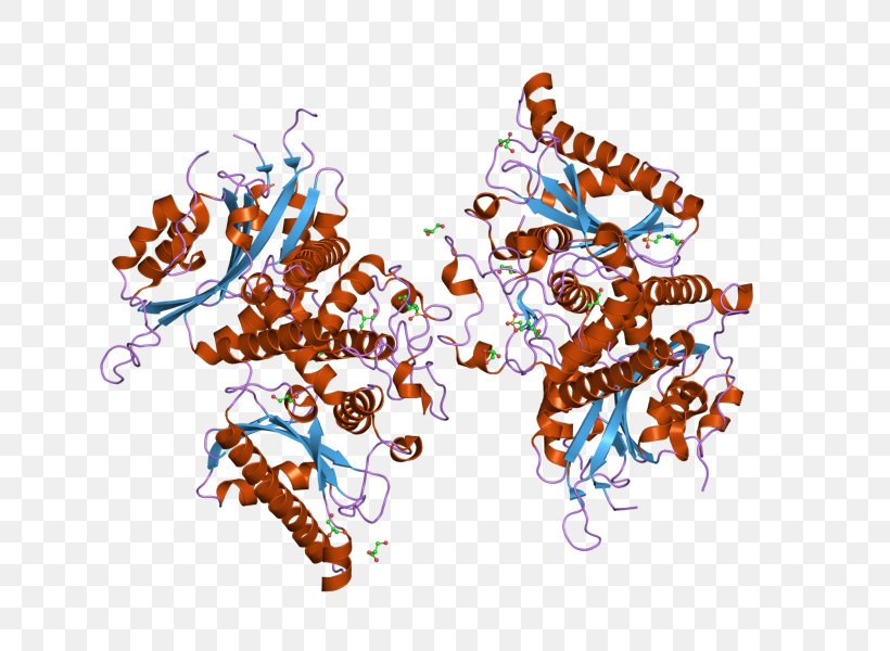 Phosphoglycerate Kinase 3-Phosphoglyceric Acid Phosphoglycerate Mutase Enzyme, PNG, 800x600px, Watercolor, Cartoon, Flower, Frame, Heart Download Free