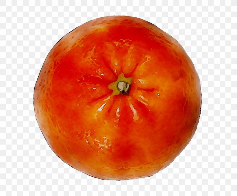 Plum Tomato Vegetarian Cuisine Food Winter Squash, PNG, 1360x1125px, Plum Tomato, Apple, Bush Tomato, Food, Food Spoilage Download Free