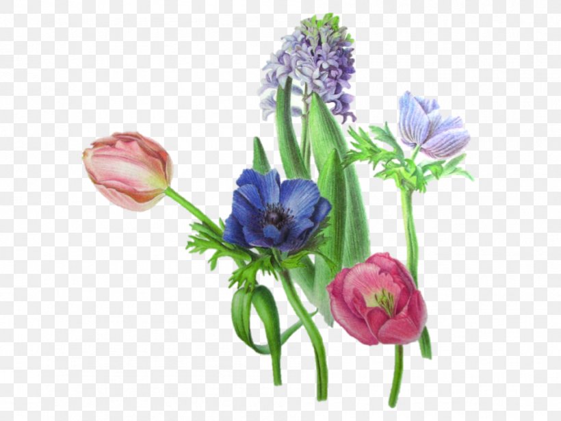 Tulip Cut Flowers Floral Design Plant Stem, PNG, 945x709px, Tulip, Cut Flowers, Floral Design, Flower, Flowering Plant Download Free
