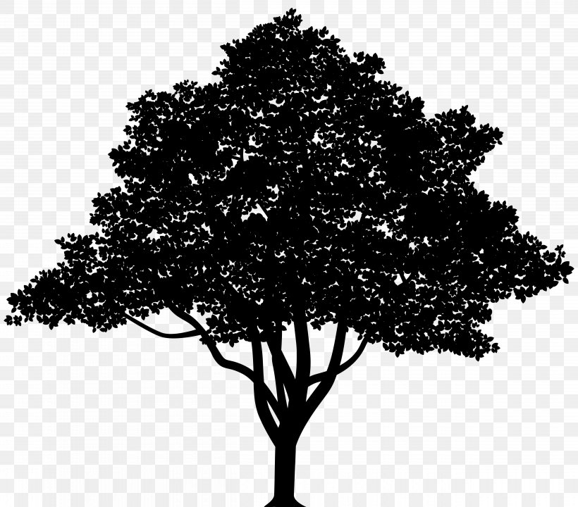 Vector Graphics Tree Royalty-free Clip Art Illustration, PNG, 5000x4392px, Tree, Branch, Can Stock Photo, Fruit Tree, Leaf Download Free