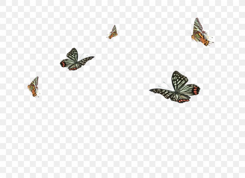 Butterfly Clip Art, PNG, 2038x1486px, Butterfly, Creativity, Drawing, Insect, Invertebrate Download Free