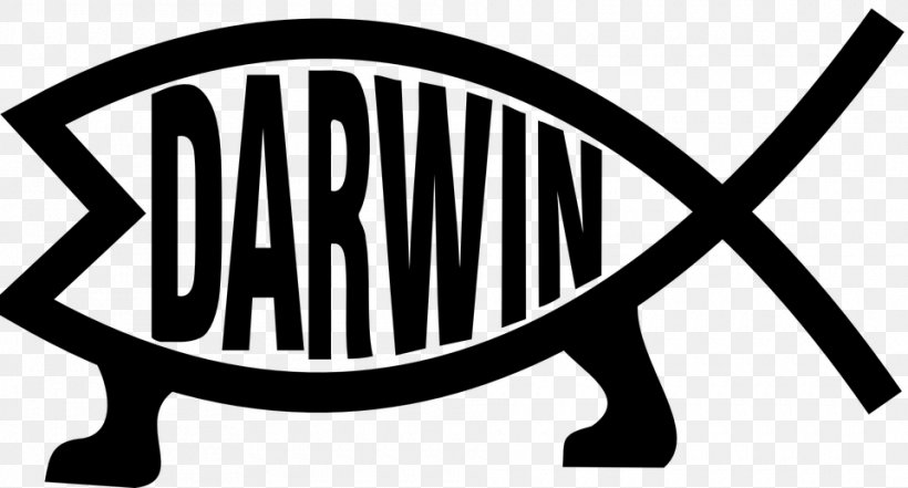 Darwin-Fisch Variations Of The Ichthys Symbol Fish Bumper Sticker, PNG, 960x517px, Darwinfisch, Atheism, Black And White, Brand, Bumper Sticker Download Free