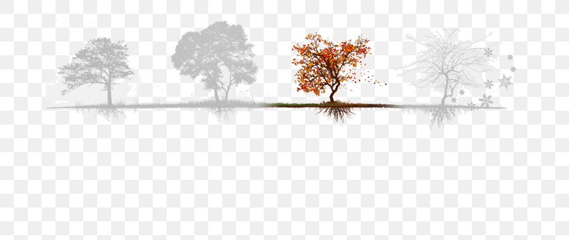 Line Water Point Tree Silhouette, PNG, 772x347px, Water, Area, Art, Artwork, Branch Download Free