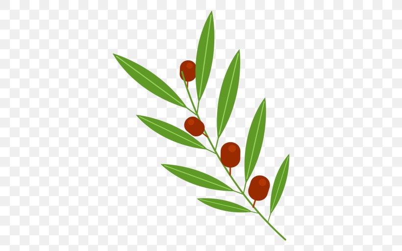 Olive Branch, PNG, 512x512px, Olive Branch, Branch, Fruit, Leaf, Olive Download Free