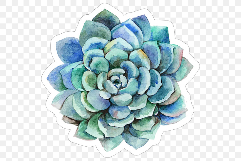 Echeveria Flower Plant Turquoise Watercolor Paint, PNG, 550x550px, Echeveria, Flower, Hydrangea, Petal, Plant Download Free