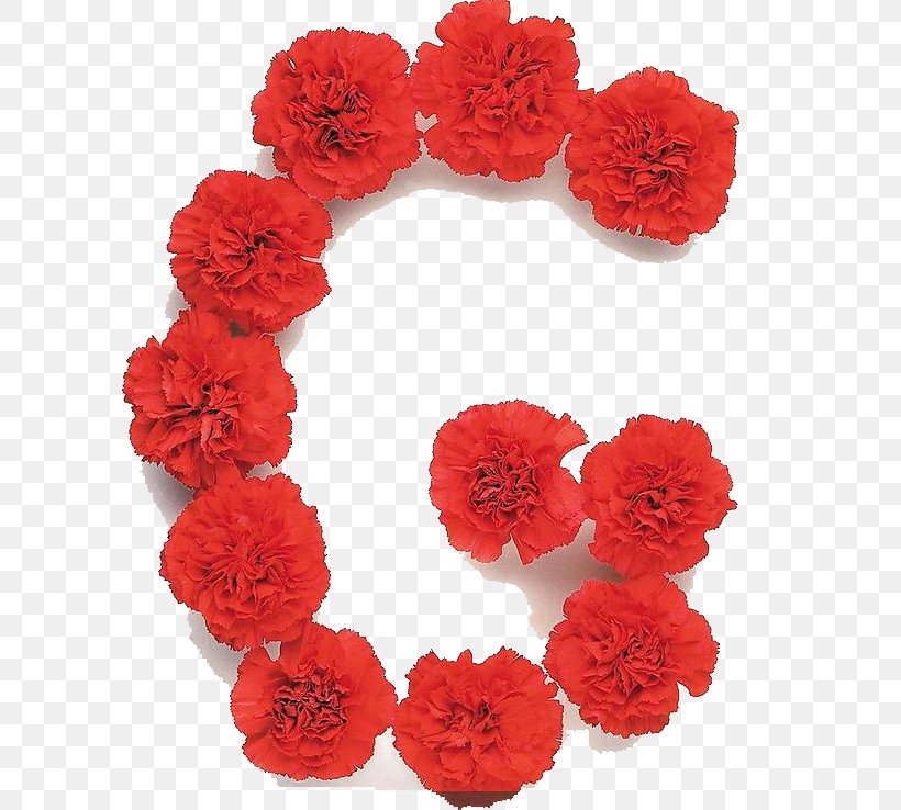 Flower Letter G, PNG, 650x738px, Letter, Artificial Flower, Carnation, Computer Software, Creativity Download Free