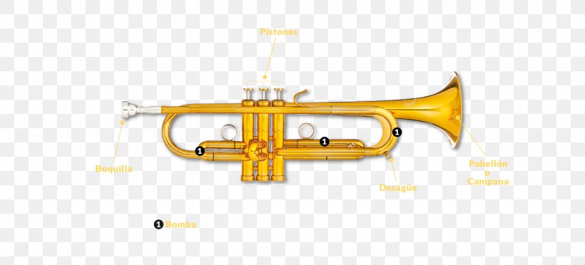 Trumpet Flugelhorn Cornet Bugle Mellophone, PNG, 1920x873px, Watercolor, Cartoon, Flower, Frame, Heart Download Free
