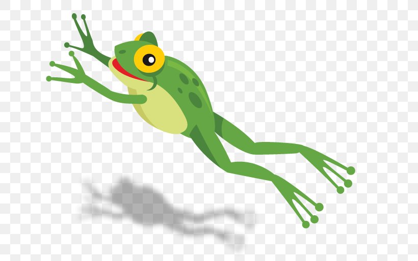 True Frog Amphibian Tree Frog Vertebrate, PNG, 711x513px, Frog, Amphibian, Animal, Fauna, Green Download Free
