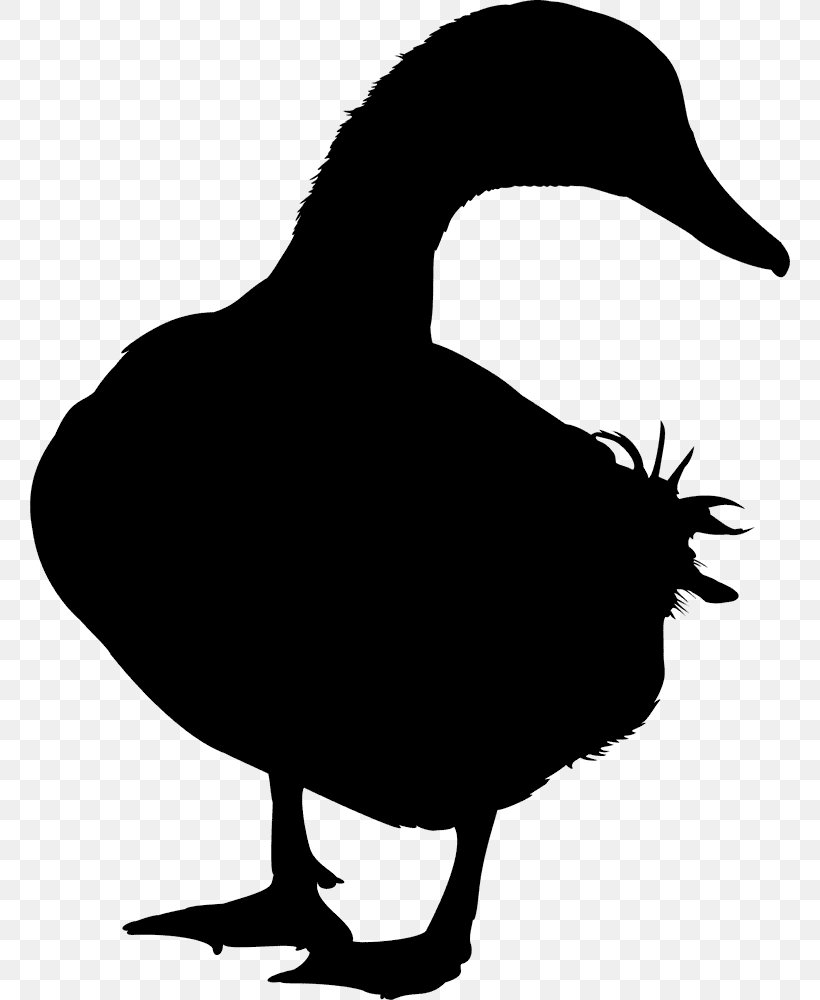 Duck Goose Mallard Swans Vector Graphics, PNG, 760x1000px, Duck, Animal, Beak, Bird, Ducks Download Free